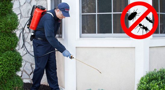 Karapürçek Böcek ve Haşere İlaçlama böcek ilaçlama ve haşere kontrolü — ilaclama-tr.com